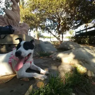 Luna