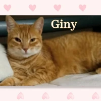 Adopta a Giny