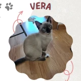 Adopta a Vera