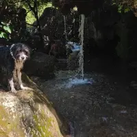 Adopta a Olaf