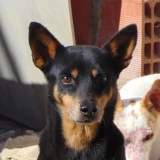 Adopta a Magdalena