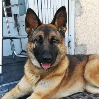 Valeria
