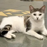 Adopta a Luz
