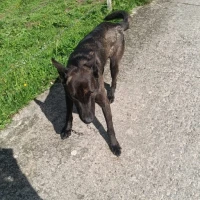 Adopta a Xuman