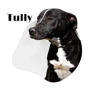 Tully