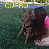 Adopta a Curro 2