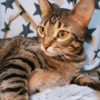 Adopta a Sally
