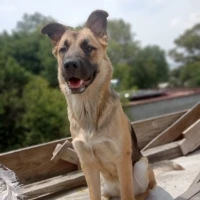 Adopta a Luna