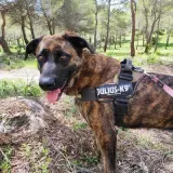 Adopta a John