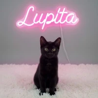Adopta a Lupita