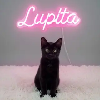Lupita