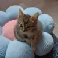 Adopta a Titín