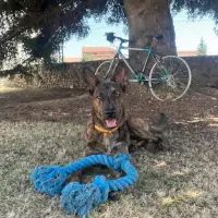 Adopta a Kuko