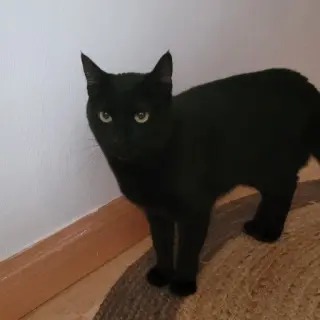 Salem