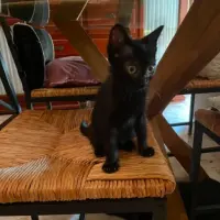 Adopta a Luna