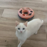 Adopta a Sabrina