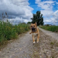 Adopta a Zeus