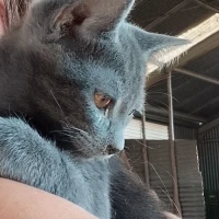 Adopta a Pilar García Silvestre