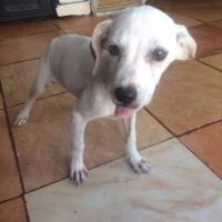 Adopta a Arenita