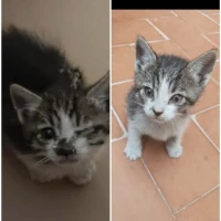 Adopta a Marco Aurelio