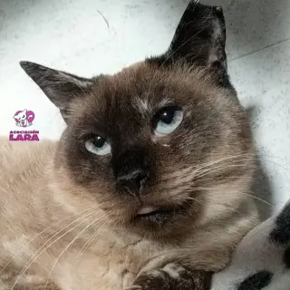 Juanita