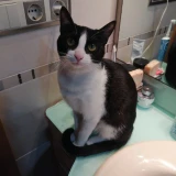 Adopta a Ayna
