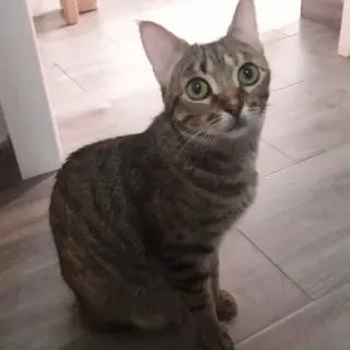 Juanita