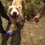 Adopta a Neith