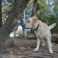 Adopta a Max