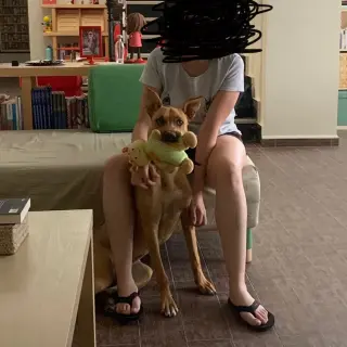 Frida