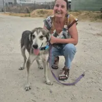 Adopta a Dolly, Cruce Mastina Tlf 645978718