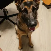 Adopta a Duna
