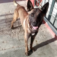 Adopta a Albéniz