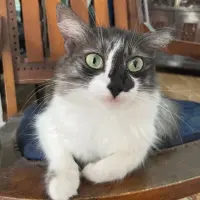 Adopta a La Michi