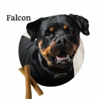 Adopta a Falcon