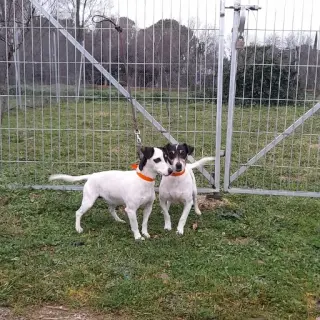 Cantillana E Isabo