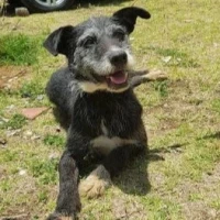 Adopta a Ágata