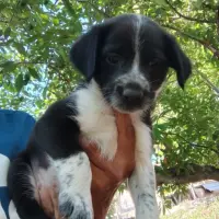 Adopta a María Elena