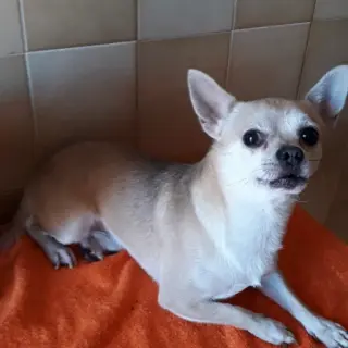 Rubi