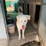 Adopta a Osiris