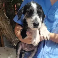Adopta a Camada La Fabriquilla