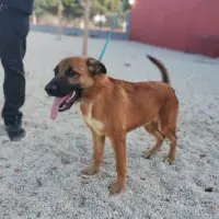 Adopta a Medellín