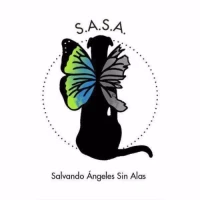 SASA