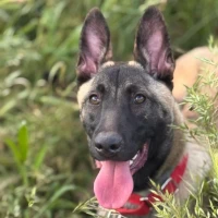 Adopta a Mayeli