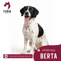 Adopta a Berta