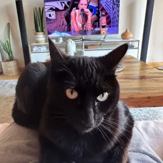 Luna