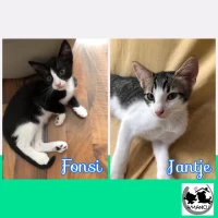 Adopta a Fonsi&Jantje