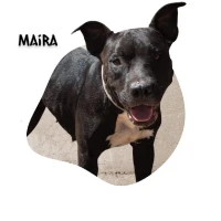 Adopta a Maira