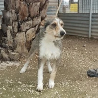 Adopta a Miliki