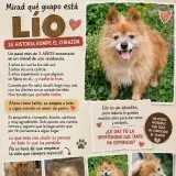 Adopta a Lío